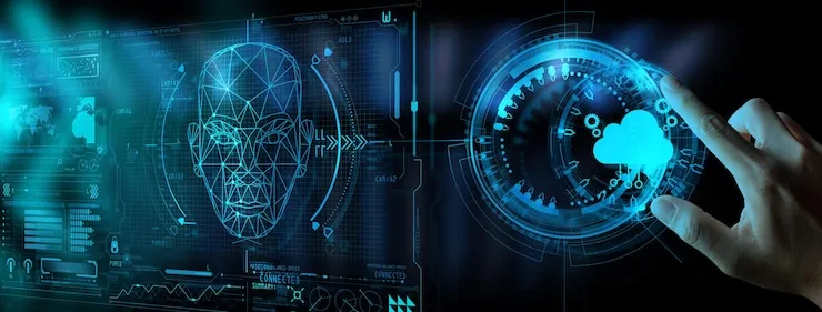 Japanese Document Expertise